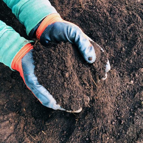 Top Quality Fenland Topsoil - Image 2